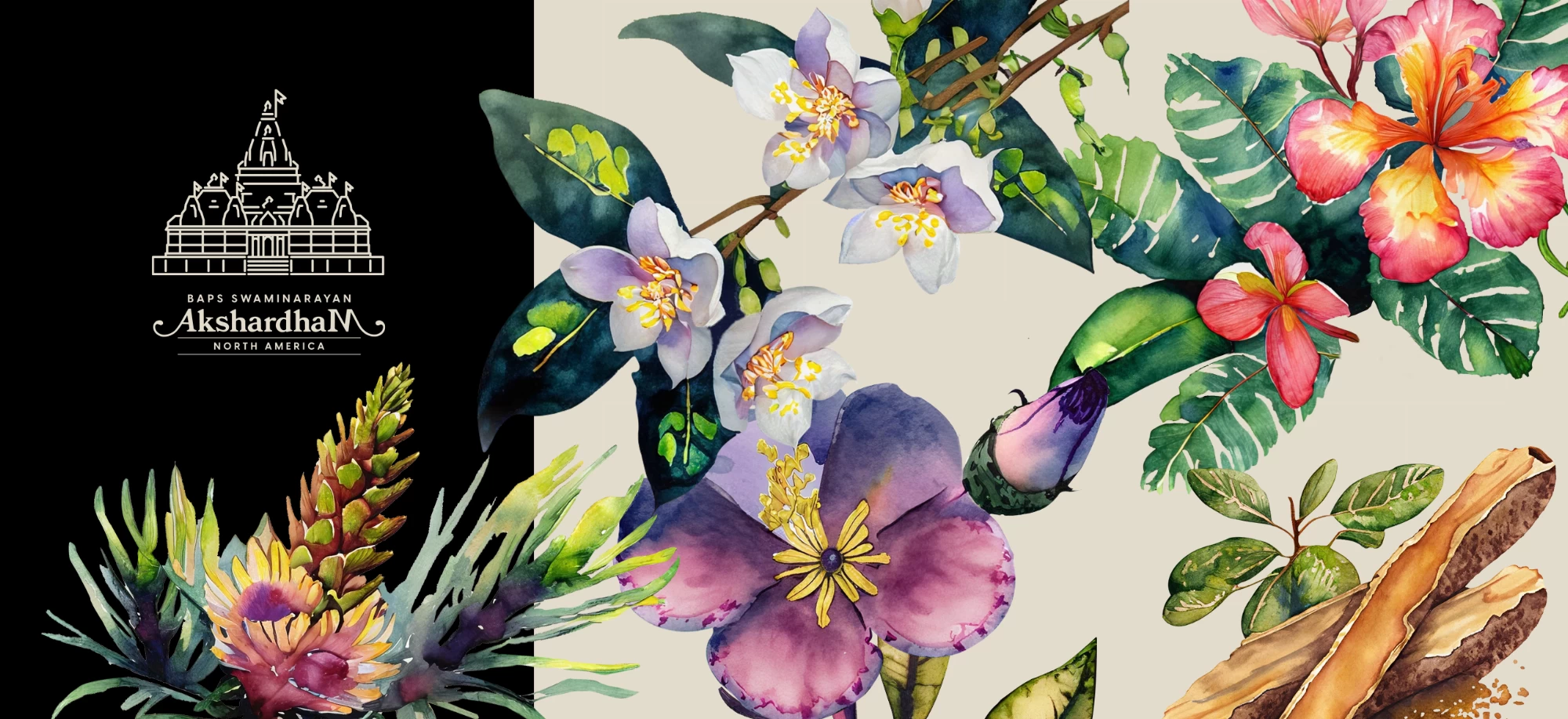 portfolio cover image